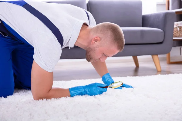 Area Rug Care