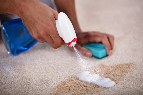 Stain & Odor Removal